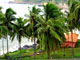 Holiday 04 Nights + 05 Days Cochin Alleppey Houseboat Kovalam Trivandrum/Cochin Tour Package